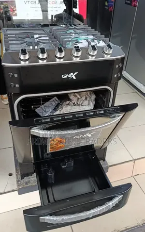 GNIX 60×60 Premium Cooker With Turbo Fan, Rotisserie Food Warmer