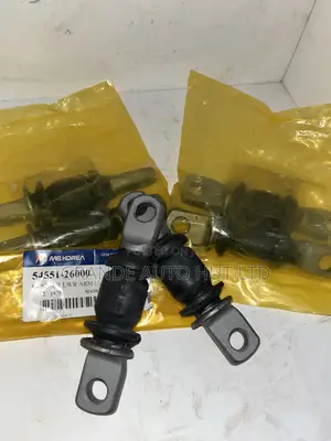 Lower Arm Bush Front Hyundai Santafe 2003