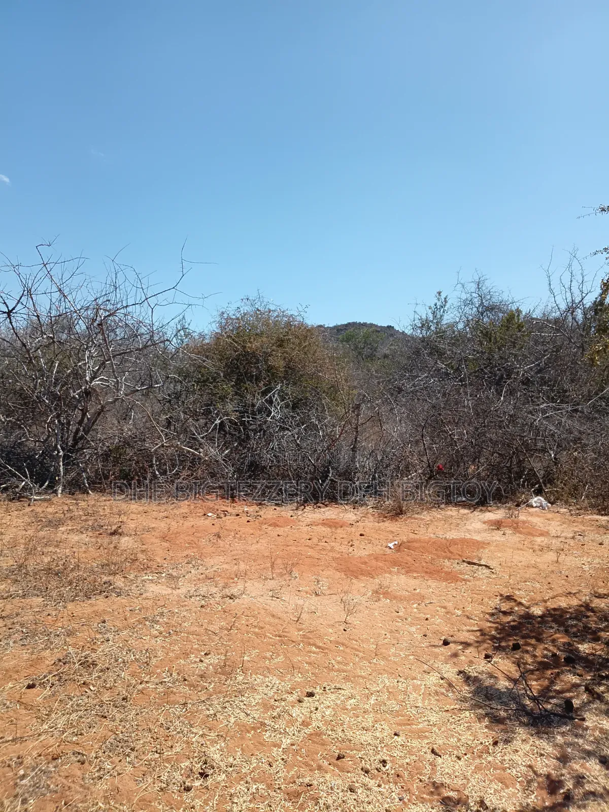 Land for Sell