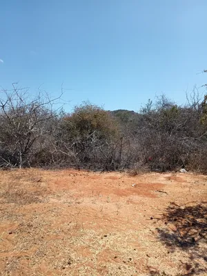 Land for Sell