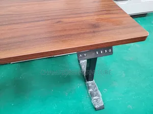 Modern 1.2M Adjustable Electric Table