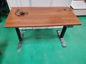 Modern 1.2M Adjustable Electric Table