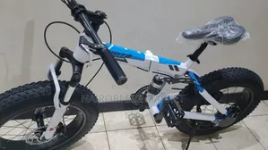 Size 20 Fat Bike