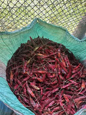 Sun Dried Red Cayenne Chillies Available