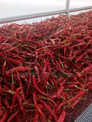 Sun Dried Red Cayenne Chillies Available