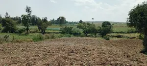 6000 Acres for Sale in Nanyuki Within Municipality Ksh. 1.2m/Acre