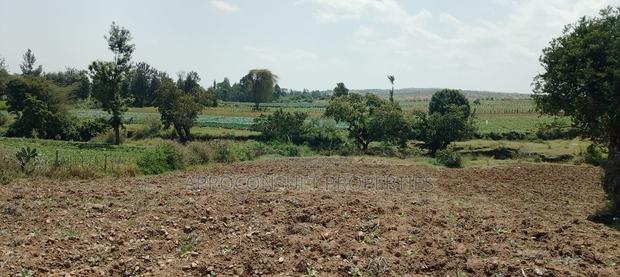 6000 Acres for Sale in Nanyuki Within Municipality Ksh. 1.2m/Acre