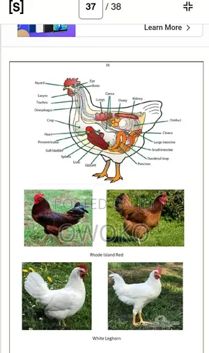 Smart Agriculture Teacher