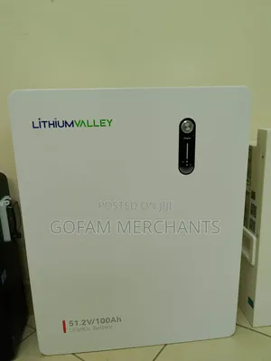 51.2V 100Ah Lithium Valley LV-BAT-W LiFePO4 Wall Mounted Battery