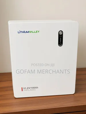 51.2V 100Ah Lithium Valley LV-BAT-W LiFePO4 Wall Mounted Battery