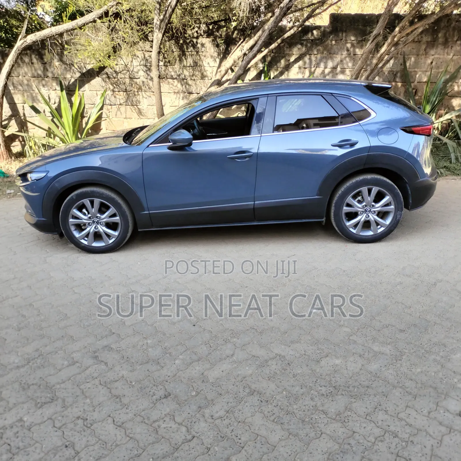 Mazda CX-30 2019 Gray