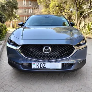 Mazda CX-30 2019 Gray