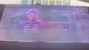 Led Screen Panels