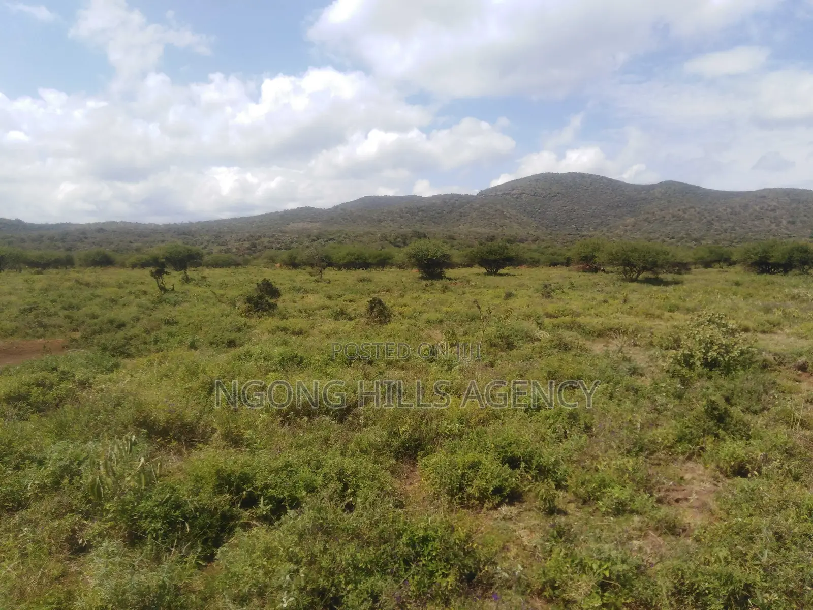 Spectacular 13-Acre Off-Grid Haven for Sale – Saikeri, Ngong