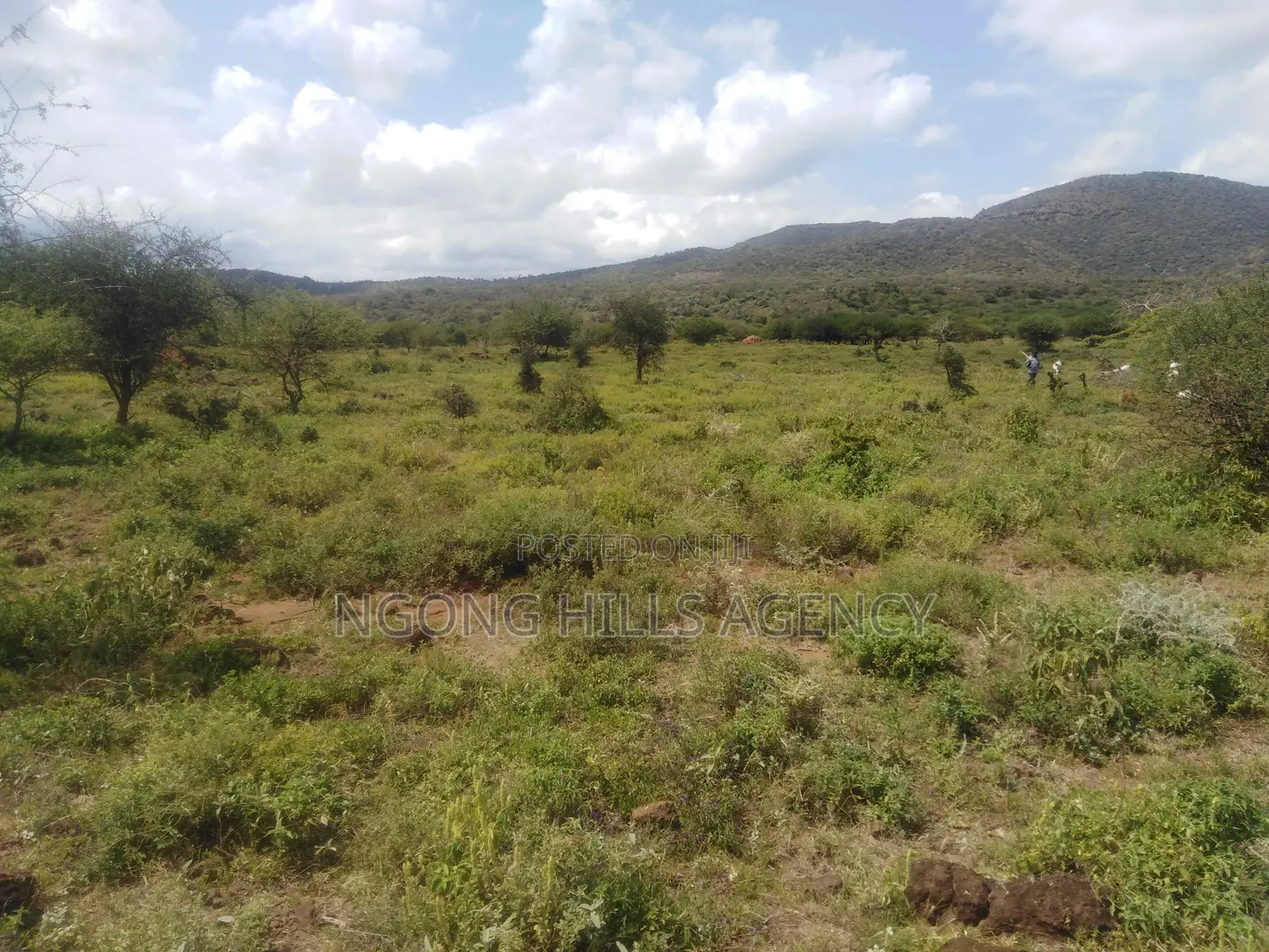 Spectacular 13-Acre Off-Grid Haven for Sale – Saikeri, Ngong