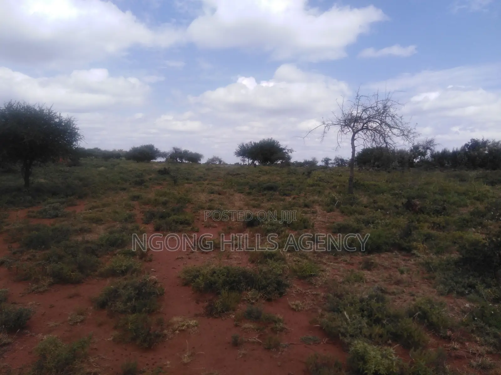 Spectacular 13-Acre Off-Grid Haven for Sale – Saikeri, Ngong