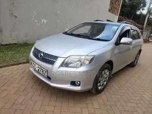 Toyota Corolla Fielder 2008 Silver