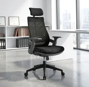 Office Chair : Orthopedic High-Back Staff Chair