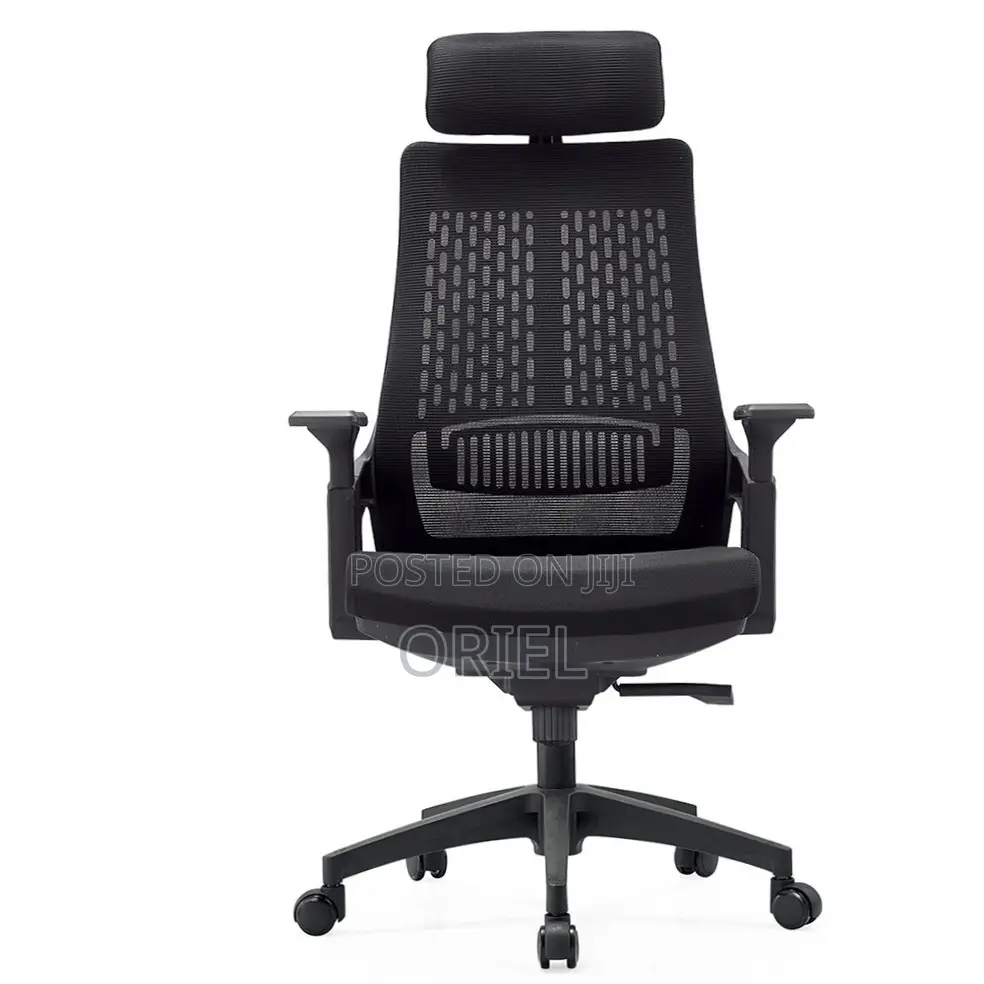 Office Chair : Orthopedic High-Back Staff Chair