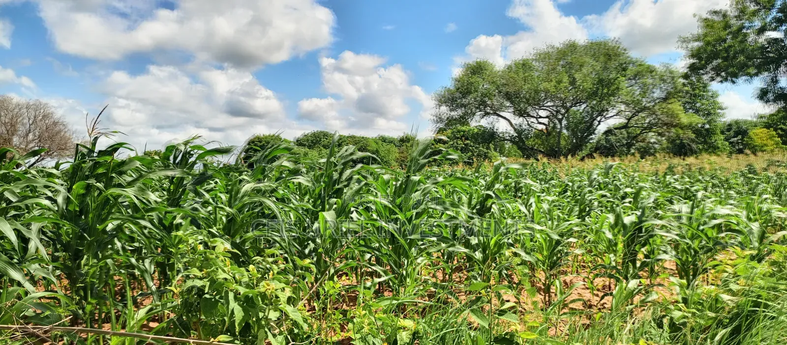 13 Acres Mavueni