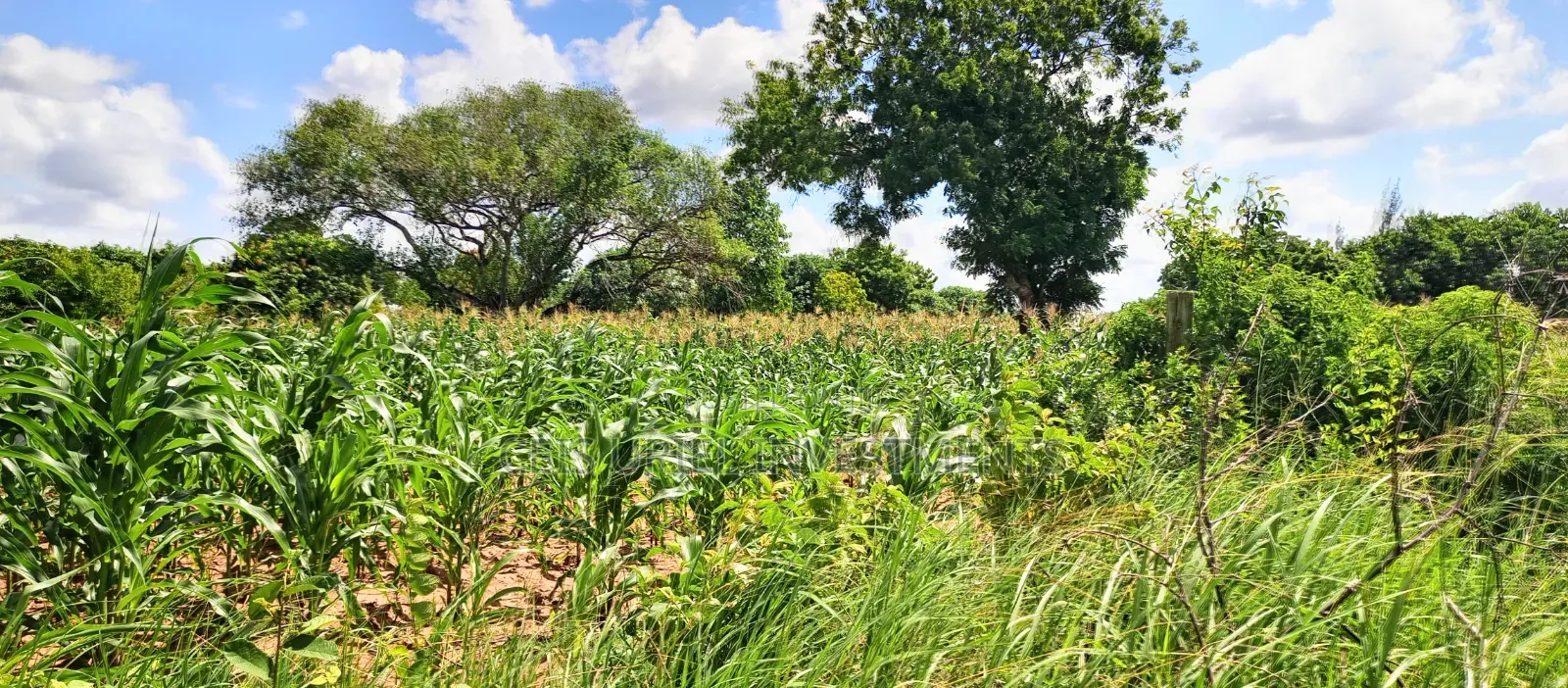13 Acres Mavueni