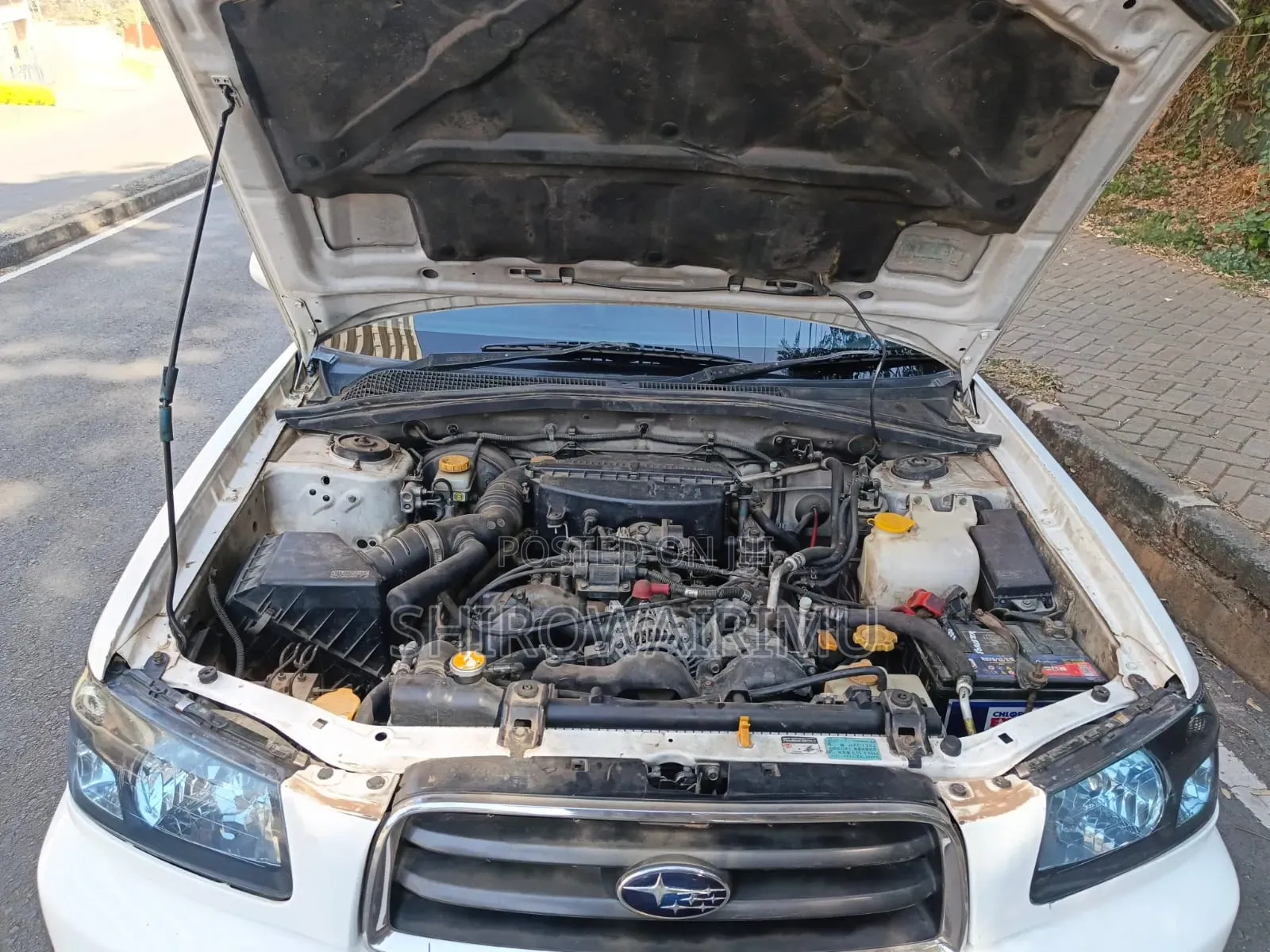 Subaru Forester 2003 White