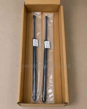 Nissan Note 2010 Boot Shocks – Pair