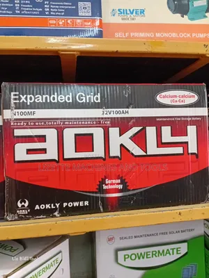 Aokly N100 Maintenance-Free Car Battery 12V