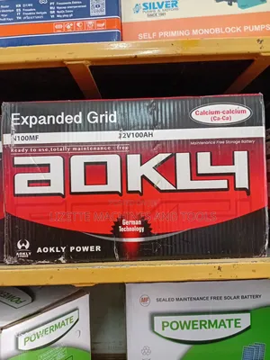 Aokly N100 Maintenance-Free Car Battery 12V
