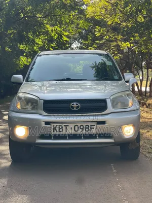 Toyota RAV4 2005 Silver