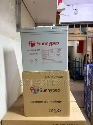 Sunnypex Np12v 55ah