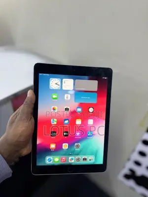 Apple iPad Pro 9.7 (2016) 32 GB Gray