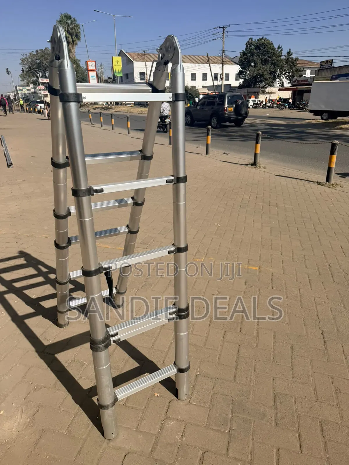 Folding Telescopic Ladder