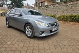 Toyota Mark X 2010 Gray