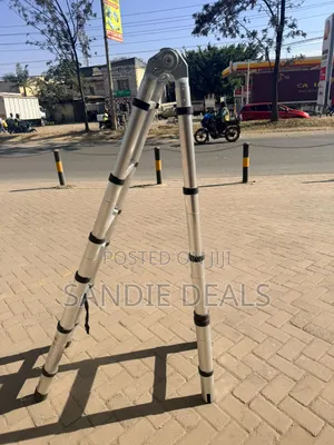 Portable Ladder