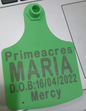 Customized Green Cattle Medium Ear Tags - Livestock
