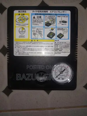 Original-Electric Car Pump