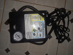 Original-Electric Car Pump
