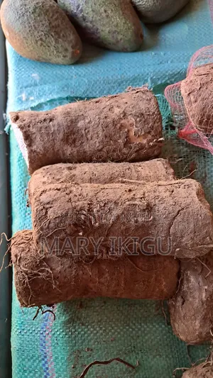 Arrowroots