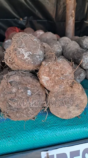 Arrowroots