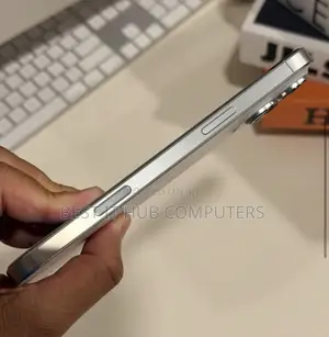 Apple iPhone 16 Pro Max 256 GB Silver