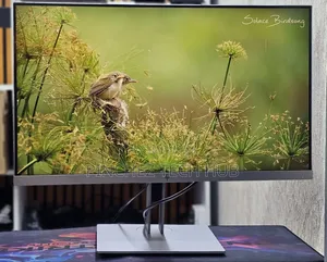 HP Elitedisplay E273
27 Inch Monitor
1920 ×1080 FHD Ips Monitor
