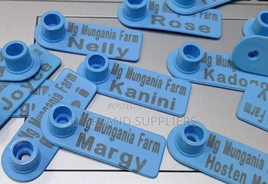 Sheeps and Lambs Customized Blue Ear Tags