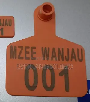 Orange Medium Cows and Calves Ear Tags - Numbered