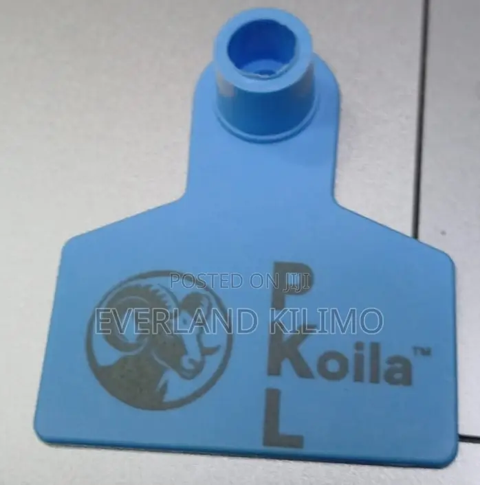 Blue Customized Medium Ear Tags for Cows and Calves