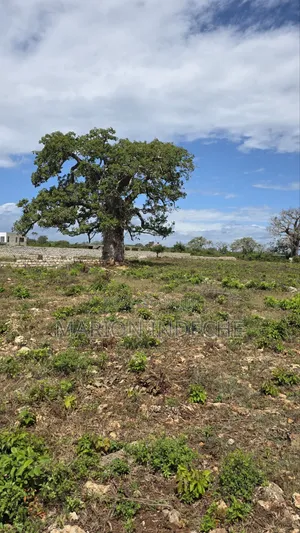 Diani Prime 50x100ft Plots for Sale