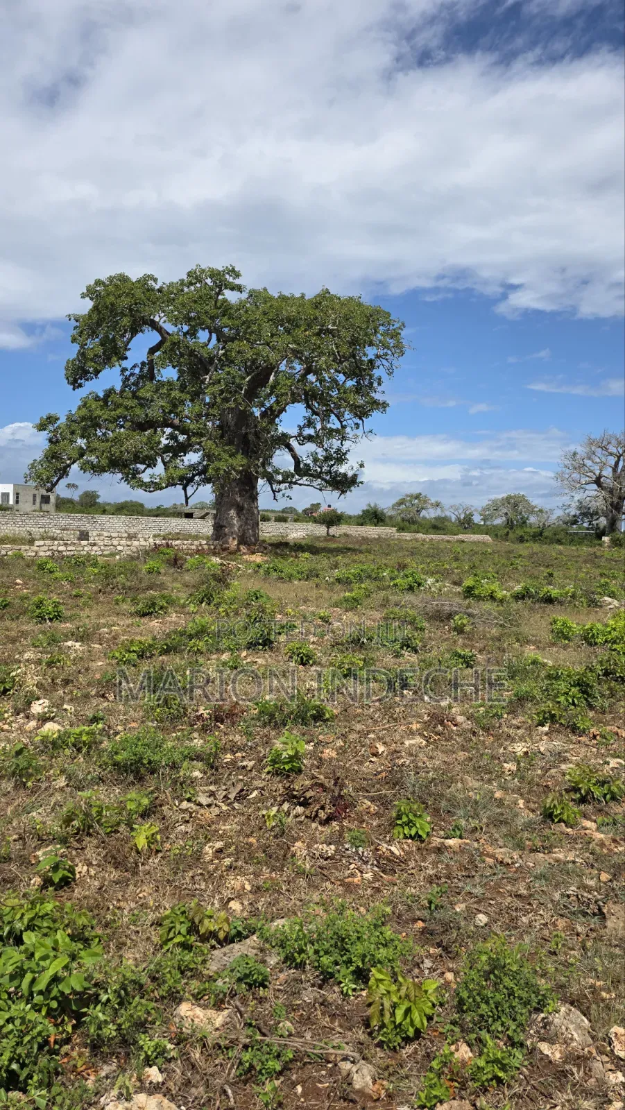 Diani Prime 50x100ft Plots for Sale