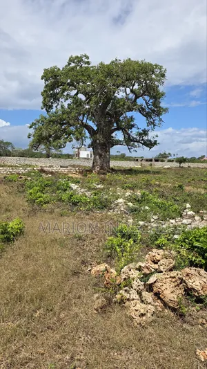 Diani Prime 50x100ft Plots for Sale