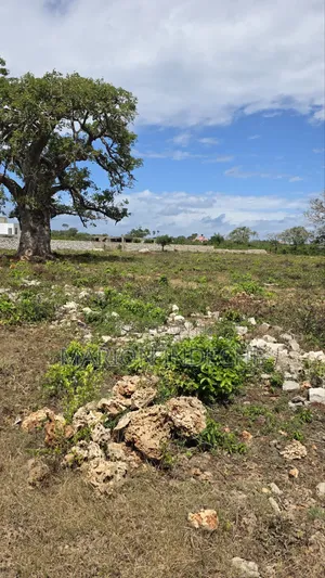 Diani Prime 50x100ft Plots for Sale