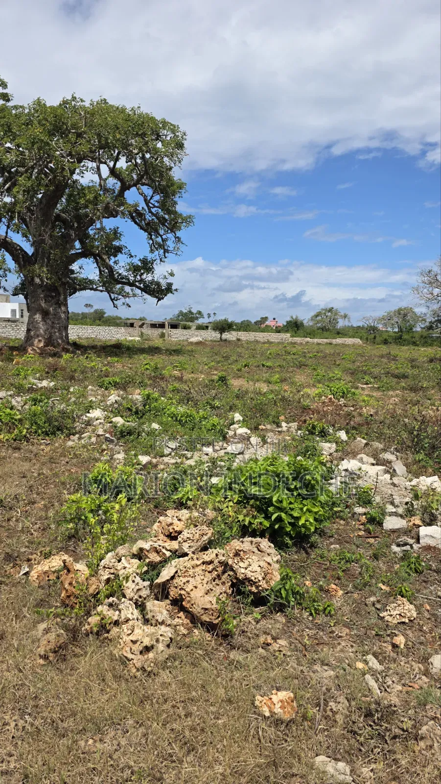 Diani Prime 50x100ft Plots for Sale